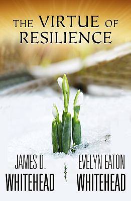 Picture of The Virtue of Resilience