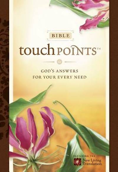 Picture of Bible TouchPoints