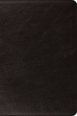 Picture of ESV Large Print Bible (Black)