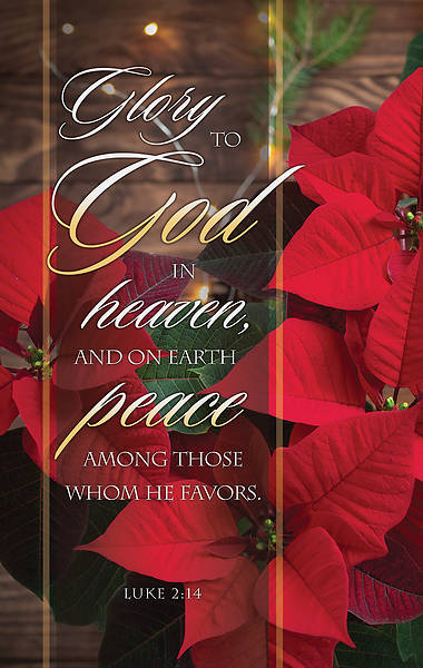 Picture of Glory to God Christmas Banner 3 x 5 Fabric