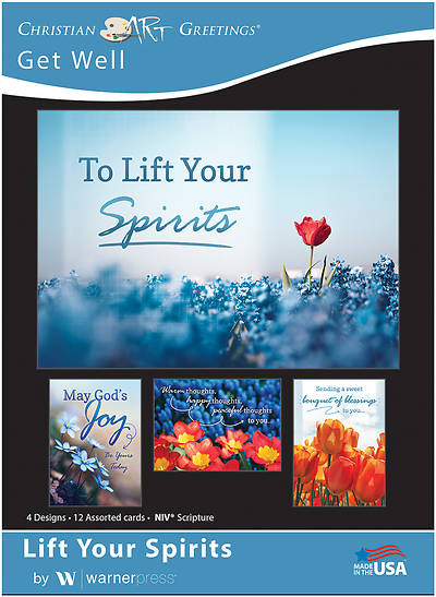 Picture of Lift Your Spirits Get Well Boxed Cards
