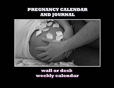Picture of 2012 Pregnancy Calendar and Journal