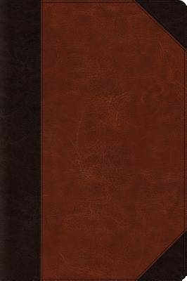 Picture of ESV Large Print Bible (Trutone, Brown/Cordovan, Portfolio Design)