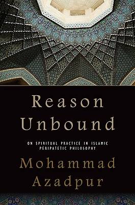 Picture of Reason Unbound