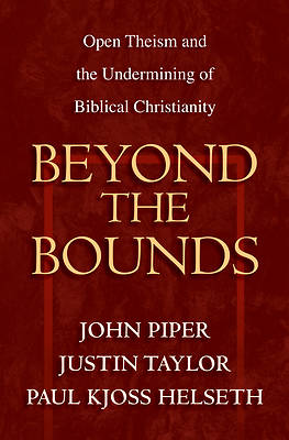 Picture of Beyond the Bounds