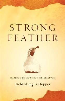 Picture of Strong Feather