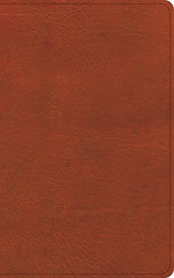 Picture of CSB Single-Column Personal Size Reference Bible, Burnt Sienna Leathertouch