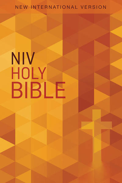 Picture of NIV Value Outreach Bible - Case of 32
