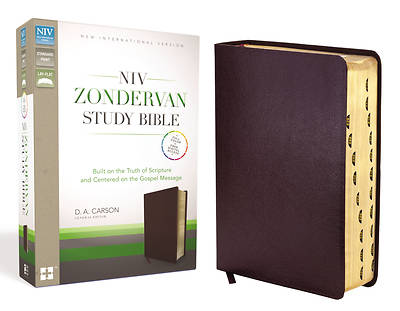 Picture of NIV Zondervan Study Bible Indexed
