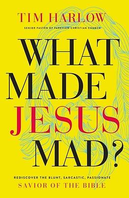 Picture of What Made Jesus Mad?