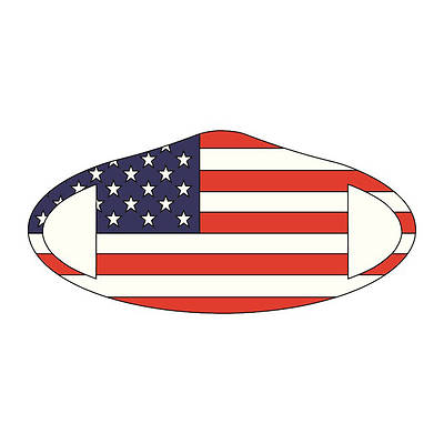 Picture of Decomask Universal Fit Face Mask - American Flag