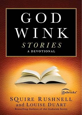 Picture of Godwink Stories