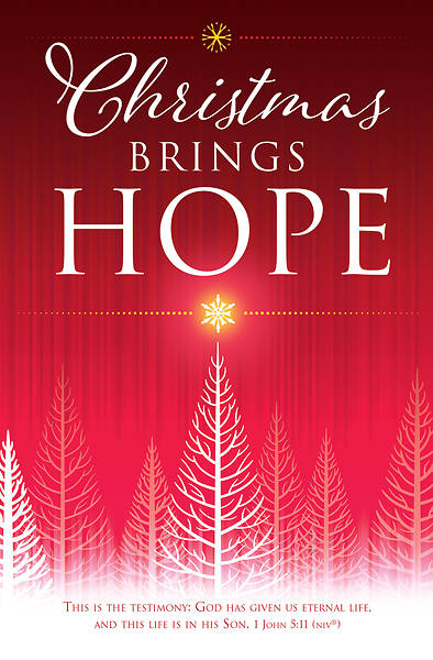 Picture of Christmas Brings Hope Bulletin Regular 1 John 5:11 NIV