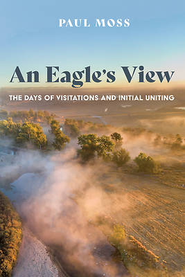 Picture of An Eagle's View