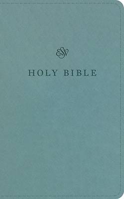 ESV Premium Church Bible (Trutone, Paris Sky)