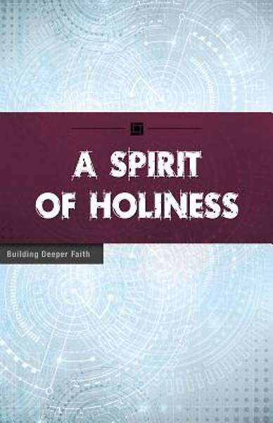 Picture of A Spirit for Holiness