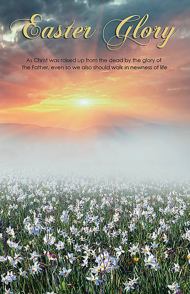 Picture of Easter Glory Easter Regular Size Bulletin