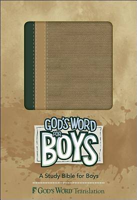 Picture of God's Word for Boys Bible