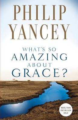 Picture of What's So Amazing about Grace?