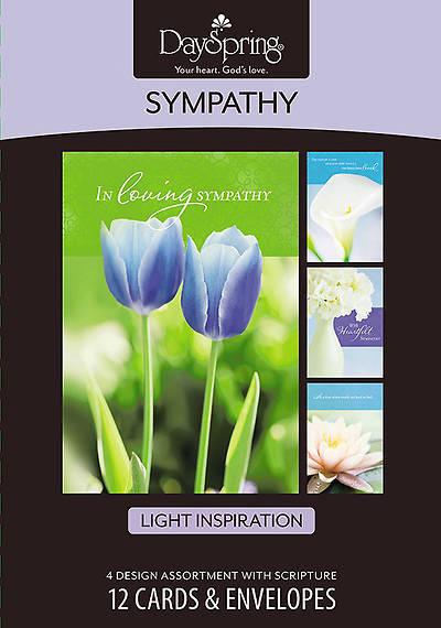 Picture of Sympathy to All - Sympathy Boxed Cards - Box of 12