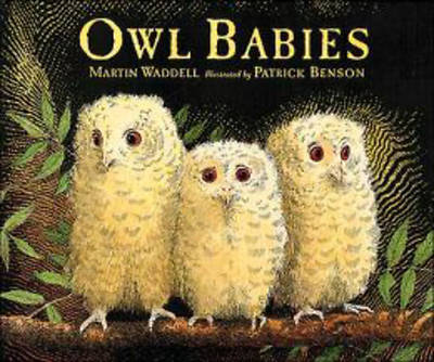 Picture of Owl Babies