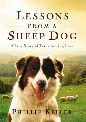 Picture of Lessons from a Sheep Dog