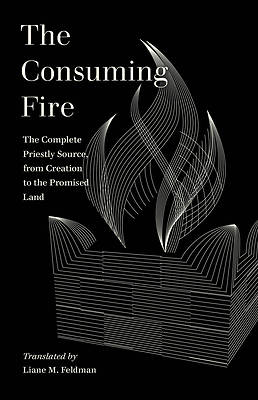 Picture of The Consuming Fire
