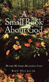 Picture of A Small Book about God