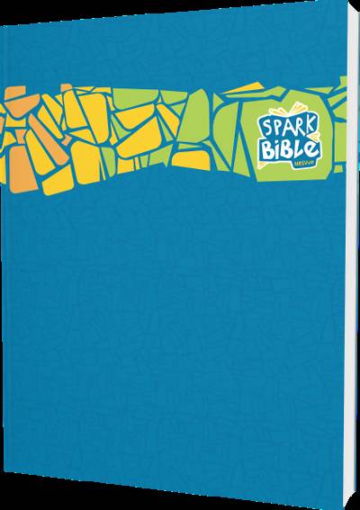 Picture of Spark Bible NRSVue Paperback