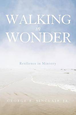 Picture of Walking in Wonder [ePub Ebook]