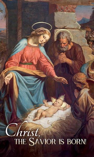 Picture of Christ the Savior is Born Christmas 3' X 5' Fabric Banner