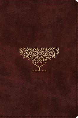 Picture of ESV Compact Bible (Trutone, Burgundy, Olive Tree Design)