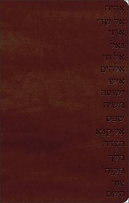 Picture of The Names of God Bible God's Word Translation