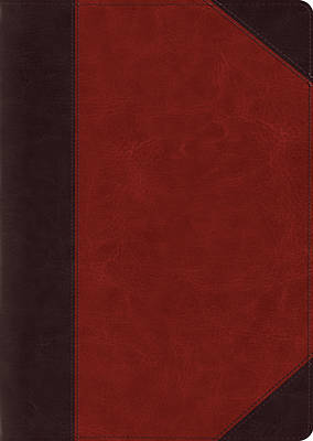 Picture of ESV Study Bible, Large Print (Trutone, Brown/Cordovan, Portfolio Design)