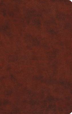 Picture of Value Thinline Bible-ESV