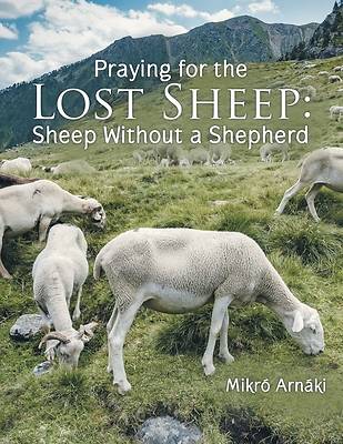 Picture of Praying for the Lost Sheep