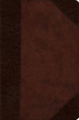 Picture of ESV Compact Bible (Trutone, Brown/Walnut, Portfolio Design)