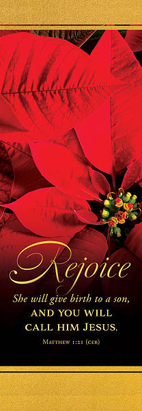 Picture of Banner Rejoice Christmas 2 x 6 Vinyl