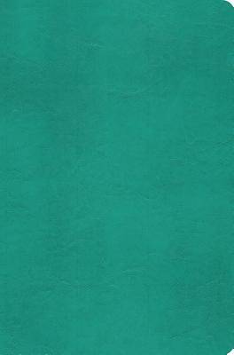 Picture of ESV Value Compact Bible (Trutone, Turquoise)