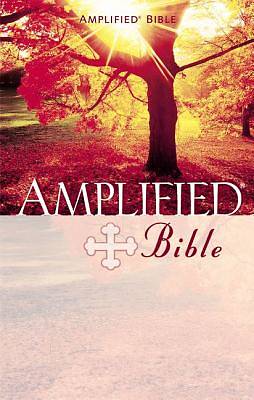 Picture of Amplified Bible