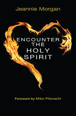 Picture of Encounter the Holy Spirit