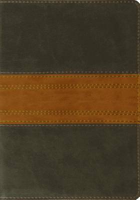 Picture of ESV Large Print Bible (Trutone, Forest/Tan, Band Design)