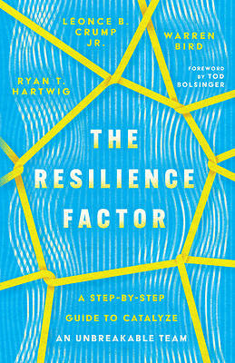 Picture of The Resilience Factor