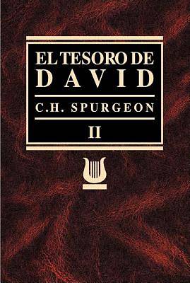 Picture of Tesoro de David Volumen II