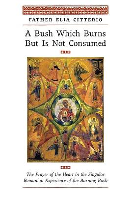 Picture of A Bush Which Burns But Is Not Consumed