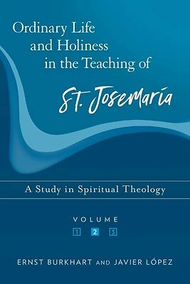 Picture of Ordinary Life and Holiness, Volume 2