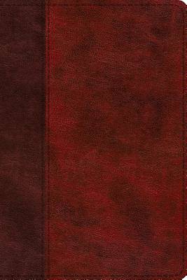 Picture of ESV Study Bible, Personal Size (Trutone, Burgundy/Red, Timeless Design)