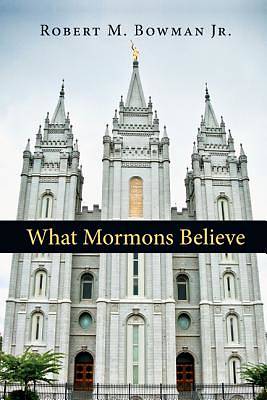 Picture of What Mormons Believe