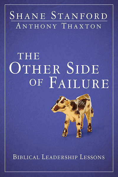 Picture of The Other Side of Failure - eBook [ePub]
