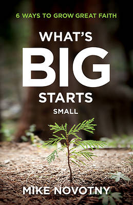 Picture of What's Big Starts Small